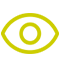 Vision
