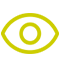 vision