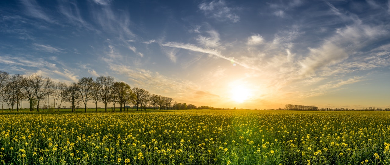 5 Quick Spring Cleaning Tips for Your Office