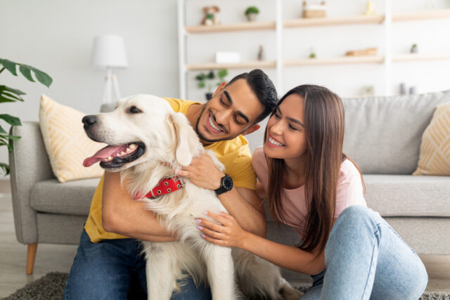 Pet Insurance at Work
