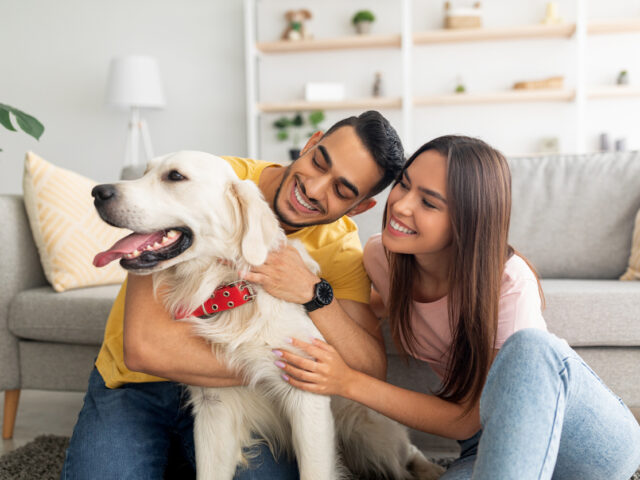 Why Pet Insurance Matters to Today’s Workforce