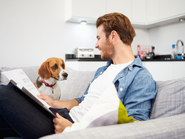 How Pet Insurance Supports Employees—and Your Business