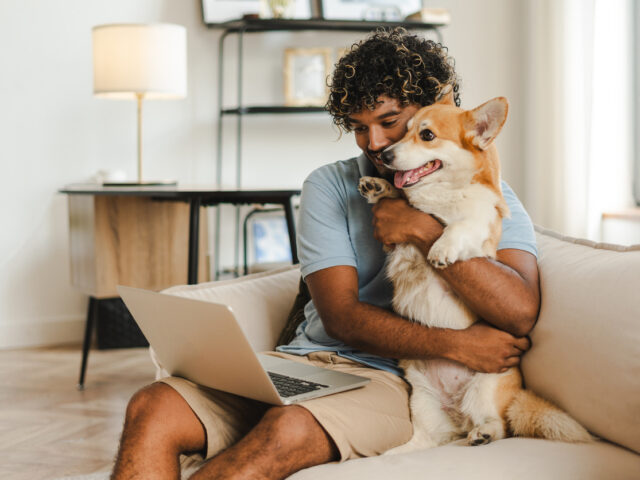 7 Reasons Your Team Will Be Thankful with CaliforniaChoice